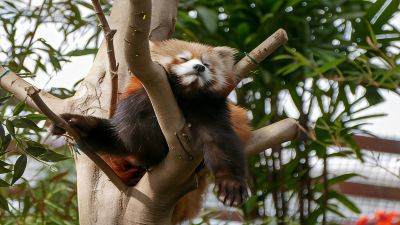 その他 ホテルパールシティ神戸の写真