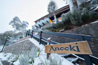 Aneeki Ski Lodge Hotels near Thredbo Service Station
