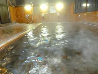 Uotoshi Ryokan Hotels in Nakano