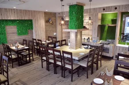 Hotel Radiance Отели в г. Барейли