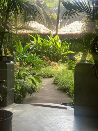 Palm Grove Beach Resort