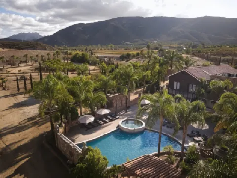 Surya Hotel Hotels in 