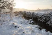 Le Refuge du Bois D'amour