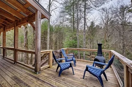 Family and pet friendly cabin on a creek. 10 minutes to downtown Cashiers