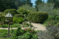 Seal Cove Inn Các khách sạn ở Moss Beach