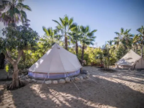 Todos Santos Hostel Hoteles en Todos Santos