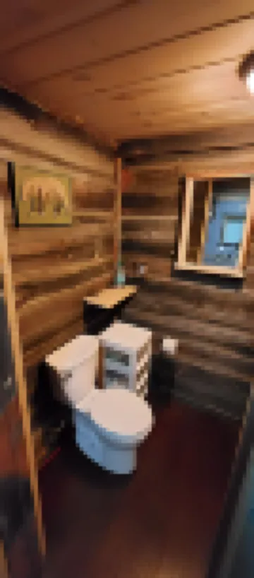 Tiny Cabin in Huron National Forest!