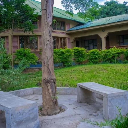 Endasawa Tree Lodge Hotels in Arumeru