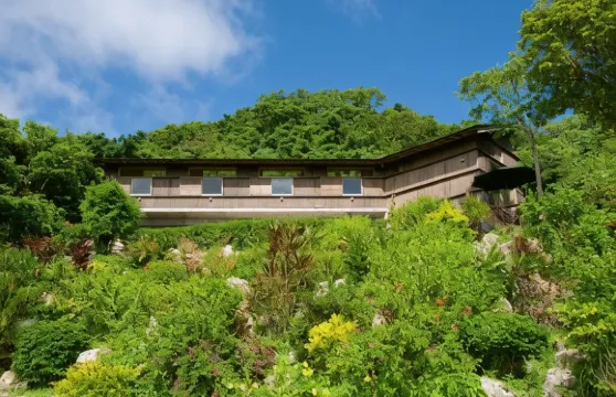 海坐住宿加早餐旅館