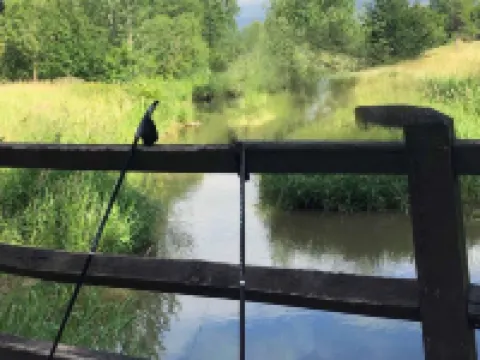 Ferienwohnung Bartel Hotels in Coburg