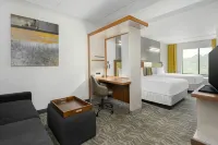 SpringHill Suites Athens West Hoteles en Condado de Oconee