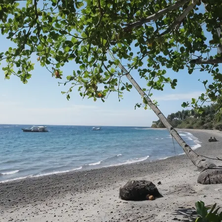 Wellbeach Dive Resort