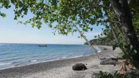 Wellbeach Dive Resort - Beach