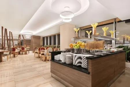 Ramada by Wyndham Diyarbakir Отели в г. Диярбакыр