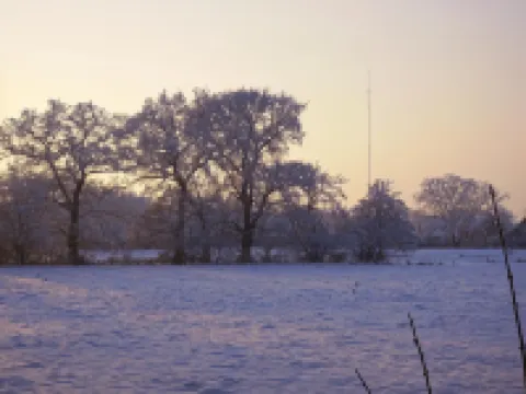 Hotel Waldquelle アウリッヒのホテル