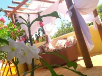 Hotel Villa Beija Flor Hotels in Jericoacoara