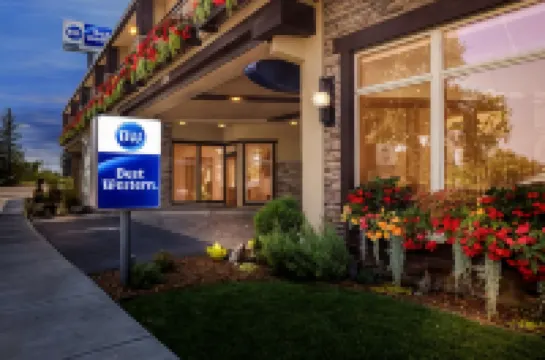 Best Western Driftwood Inn Hotels in 