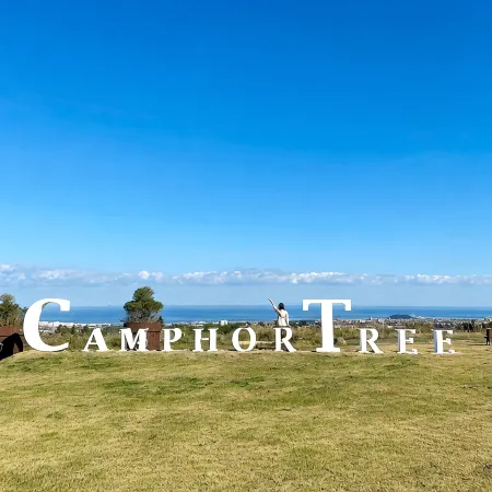 Camphortree Hotel and Resort Отели рядом с достопримечательностью «Хосанджунса»