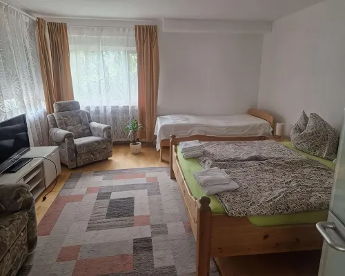 Beautiful apartment with terrace and view of the Belchen, up to 5 people Hotels in Munstertal