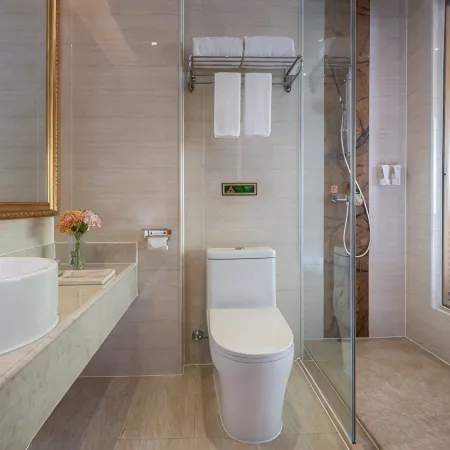 Vienna Hotel (ShaoGuanLechang)