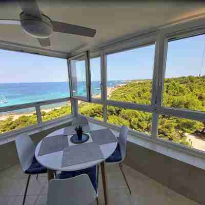 On the beach, with pool ! Super sea view, fiber optic internet, air conditioning Others