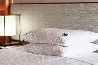 Podo Hotel - Hot Springs