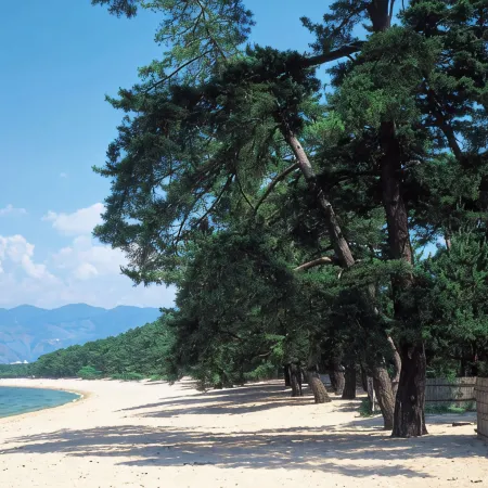 Matsuya