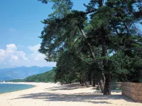 Matsuya - 3 Sao