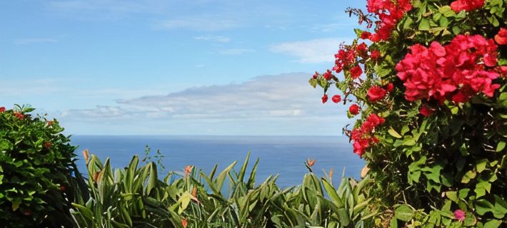 Comfortable home with a beautiful blooming garden and a view of the Atlantic Hotels in Acentejo