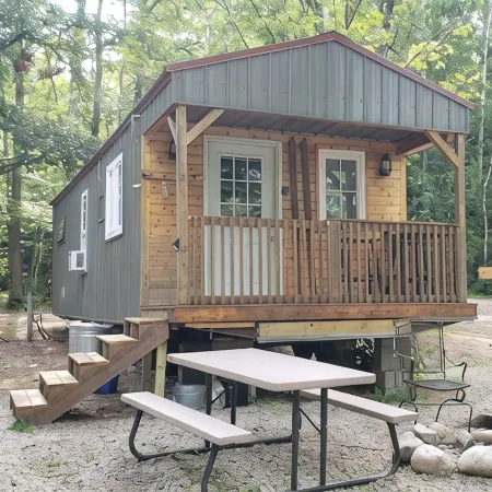 Tiny cabin in towering pines, with lake view. Pets accepted!