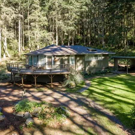 TreeTops Forest Retreat