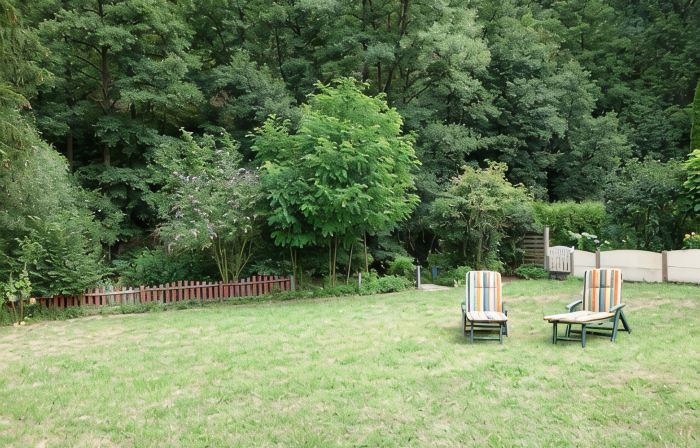 Holiday home Rurperle in the national park Eifel