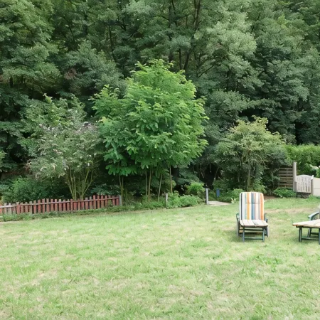 Holiday home Rurperle in the national park Eifel