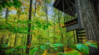 Magical Treehouse in Woods, Close many Wineries & Breweries, Pet Friendly!
