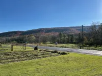 Life at the Dairy Farm