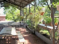 Paradise in the Little Buffalo River Valley less than a mile from Jasper. - 2-Star