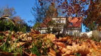 Hale Aloha Woodstove Paradise Garden 7Person House. Naturepark Vacation with Dog - Balkoner