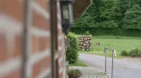 Reetdachkate im Herzen Angelns - 4-Star