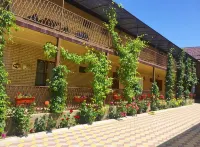 Malenkaya Gagra Guest House - 民宿