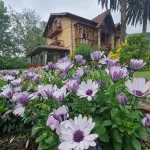 Posada Los Lienzos
