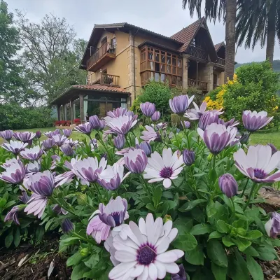 Posada Los Lienzos Hotels in 