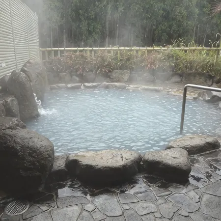 Takada Greenland Kumotori Onsen Отели в г. Сингу