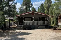 Cozy Winter Cabin Surrounded by Tall Pines Pacious Deck,Short Drive to Flagstaff