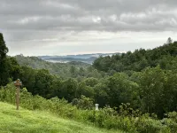 Evergreen, mountain cabin 3mi south of Blowing Rock, NC, views, creek, 56 acres. - Homestays