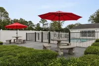 Baymont by Wyndham Albany at Albany Mall - Pools