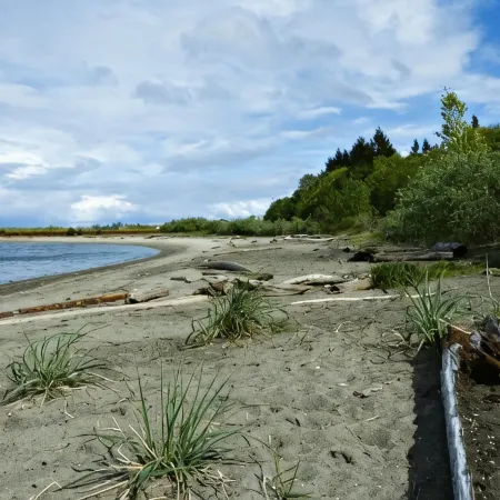 Simple Living at Luxurious, Modern Farmhouse on Bainbridge Island. Dogs ok.