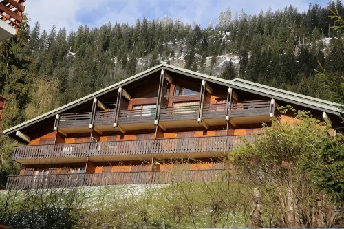 Very well appointed Apartment in Chatel , very convenient for shops ,restaurants - Wi-Fi