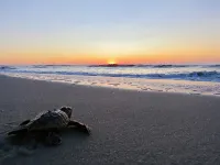 Your Premier Jacksonville Beach Vacation Rental Just 100 Steps from the Sand - جاكوزي