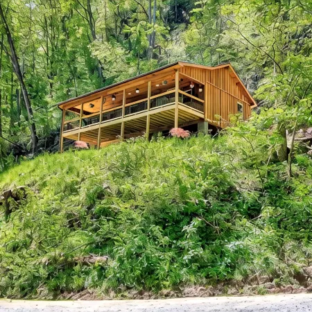 River cabin on 45 acres of private mountain land PET FRIENDLY
