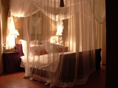 Plumbago Guest House - 5 estrellas
